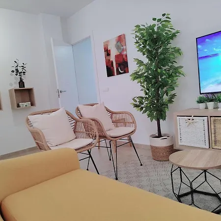 Apartment Lid